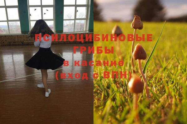 круглые Бородино